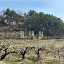 【라이딩공지】당진.아산의 명소들~ 매화만발 정매원.공세리성당등 xc 질주.go 이미지