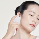 진옥화장품 | 설화수 진옥 백옥 마사지, 진설백옥마사저