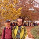 회덕마을 입구 이미지