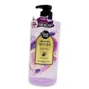 레몬향데이지 이미지