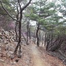 장성목장 이미지