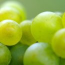 올인원푸드 이미지