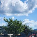 전북 임실 옥정호 출렁다리에서 ~~^^ 이미지