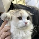 금천종합동물병원 이미지