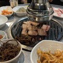 제주생두껍돈 이미지