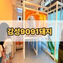 감성9091돼지 | 아이랑 외식 걱정 끝! 놀이방 있는 영등포 고기집 감성9091돼지 솔직 후기