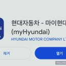 현대자동차블루핸즈만촌