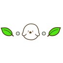 국수나무양주