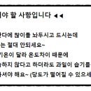 한가득과일분당