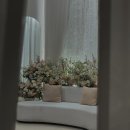 벨라 모먼트 이미지