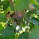 굿마루농장 이미지