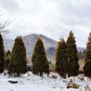 김종열농장 이미지