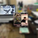 인쌩맥주 부천송내점 이미지