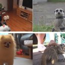 희대농장 이미지