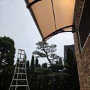 용인전지작업 동백 라플리움 타운하우스 소나무전지 대형 향나무 등