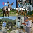 주식회사 봉황 | 평창 가볼만한곳 농촌 여행 1박 2일 평창 크리에이투어 메밀꽃 필 무렵 힐링 바캉스