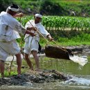 장뜰두레놀이 이미지