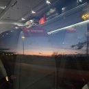 문화광장진입도로 황금개나리길 | 2026 이탈리아 (3) - 피렌체 1