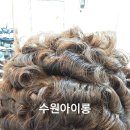 임성은헤어랩 이미지