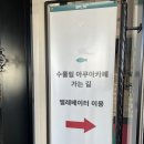북변카페 | [ 김포 걸포북변 ] 아이랑 가기 좋은 곳, 수풀림아쿠아카페 방문 후기 🐠🌿