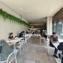 신사상가 이미지