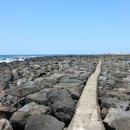 제주 올레길 12코스 이미지