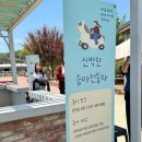 포니랜드 | 40개월 아기랑 렛츠런파크 서울포니랜드 방문 후기