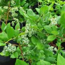 찬호농장 이미지