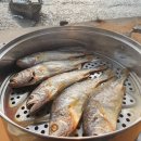 영광직판굴비 이미지
