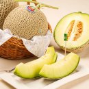 도포원예정보화마을 이미지