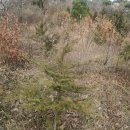 신덕리 ~ 인지리 이미지