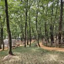 갈뫼어린이공원 이미지