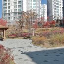 면목동-104 이미지