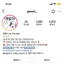 댕댕반점 이미지