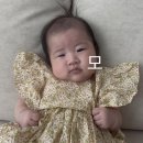 대치1-105 | 여름이랑 d+90~105