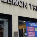 레몬트리안경콘택트(한일점) 이미지