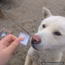 공도동물약국 이미지