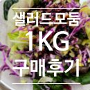 의령농산 | 샐러드 모둠 1KG 구매 후기 및 다이소 야채탈수기