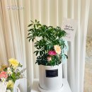 하와유투데이 | 런닝, 프레쉬폼860, 챗지피티, 존오브인터레스트, 퓨리오사, 인사이드아웃2, 콰이어트플레이스, 범죄도시