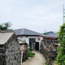 나비민박 | [아이와 제주] 월정리 제주 전통 숙소 추천 [달나비민박]
