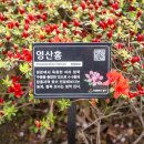 화수1동경로당 이미지