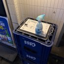 금수식당 | 대구 종로 삼겹살 맛집 미금수뿔 식육식당 웨이팅 고기집 추천 내돈내산