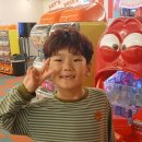 하루배움 체험 특강 이미지