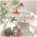 고운 | 울산 돌잔치 상차림 | 울산 롯데호텔 페닌슐라 고운테이블 돌상 후기