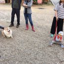 김행종의집 이미지