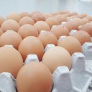 경희대 수덕 태권도 이미지