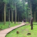 절물생태관리소 (절물자연휴양림) 이미지