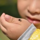 동심어린이집 이미지