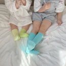 파스텔기획 이미지
