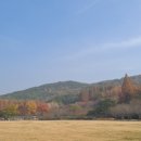 무궁화공원화장실(운동장) 이미지